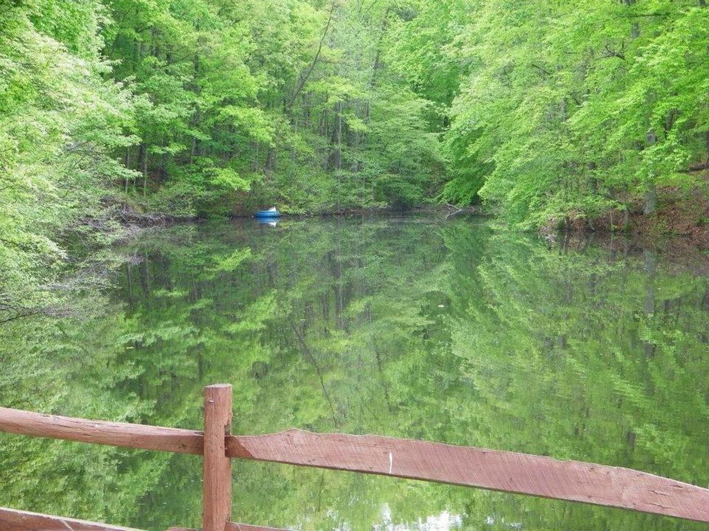 Lake Myers Lakeside Villa 16 Mocksville Zewnętrze zdjęcie